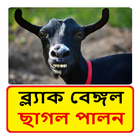 ছাগল পালন (ব্ল্যাক বেঙ্গল) иконка