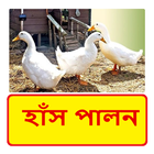 হাঁস পালন ~ Duck Farming иконка