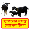 ছাগলের বসন্ত রোগের টিকা