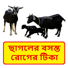 ছাগলের বসন্ত রোগের টিকা иконка