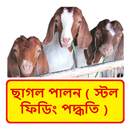 ছাগল পালন (স্টল ফিডিং পদ্ধতি) APK