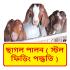 ছাগল পালন (স্টল ফিডিং পদ্ধতি) иконка