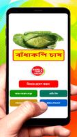 বাঁধাকপি চাষের সঠিক পদ্ধতি poster