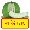 লাউ চাষ ~ Calabash Cultivation