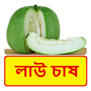 লাউ চাষ ~ Calabash Cultivation APK