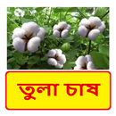 তুলা চাষ ~ cotton cultivation APK