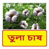 তুলা চাষ ~ cotton cultivation icon
