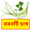 বরবটি চাষ ~ Cowpea Cultivation