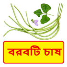 বরবটি চাষ ~ Cowpea Cultivation icon