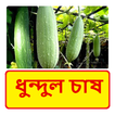 ধুন্দুল চাষের পদ্ধতি