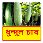 ধুন্দুল চাষের পদ্ধতি icon