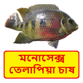 মনোসেক্স তেলাপিয়া মাছের চাষ