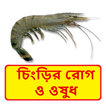 চিংড়ি মাছের রোগ প্রতিকার