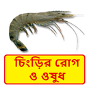 চিংড়ি মাছের রোগ প্রতিকার APK