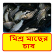মিশ্র মাছের চাষ ~ Fish Farming