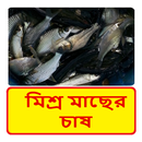 মিশ্র মাছের চাষ ~ Fish Farming APK