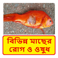 বিভিন্ন মাছের রোগ ও ওষুধ