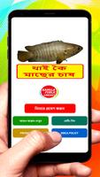 থাই কৈ মাছের চাষের পদ্ধতি poster