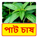 পাট চাষ ~  Jute Cultivation APK
