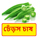 ঢেঁড়স চাষ ~ Okra Cultivation APK