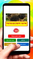 পামওয়েল চাষ ~ Palm oil farming постер