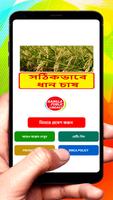 সঠিকভাবে ধান চাষের পদ্ধতি постер