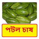পটল চাষের সঠিক পদ্ধতি APK