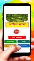 পটল চাষের সঠিক পদ্ধতি poster