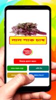 লাল শাক চাষের পদ্ধতি poster
