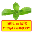স্টিভিয়া মিষ্টি গাছের ভেষজগুণ