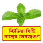 স্টিভিয়া মিষ্টি গাছের ভেষজগুণ icon