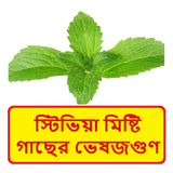 স্টিভিয়া মিষ্টি গাছের ভেষজগুণ icon
