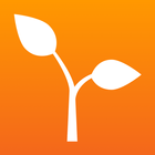 Chilli icon
