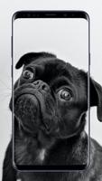 100000+ Dog Wallpapers 4K Ekran Görüntüsü 3