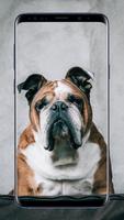 100000+ Dog Wallpapers 4K Ekran Görüntüsü 2