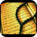 Tasbih - Tasbeeh