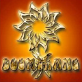 Boomerang Mp3 Offline