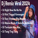 DJ Na Na Na Viral 2024 APK