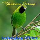 Masteran Burung Kicau Offline APK