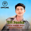 Tri Suaka Ft Nabila Mp3 Offlin