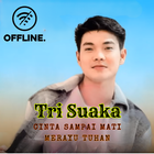 Tri Suaka icono
