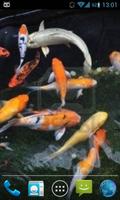 Magic Touch Koi Fish تصوير الشاشة 3