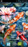 Magic Touch Koi Fish 海報