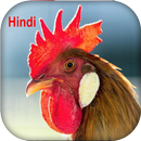 صدای واقعی حیوانات APK