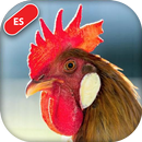 Sonidos de animales reales APK