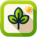 Cactus Town | Plant care APK