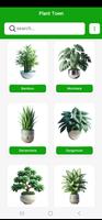 Cactus Town | Plant care poster