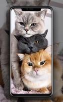 Wallpaper Kucing ảnh chụp màn hình 1