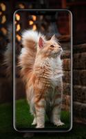 Wallpaper Kucing ảnh chụp màn hình 2