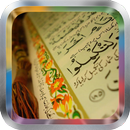 Fares Abbad Quran MP3 APK